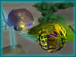 潜水艇で魚取り